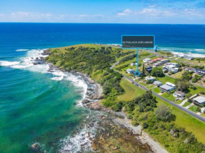 Rockpool, Woolgoolga